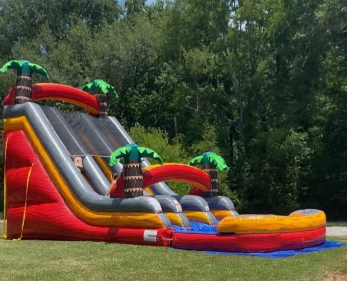 Palm Paradise Dual Lane Slide from a different angle